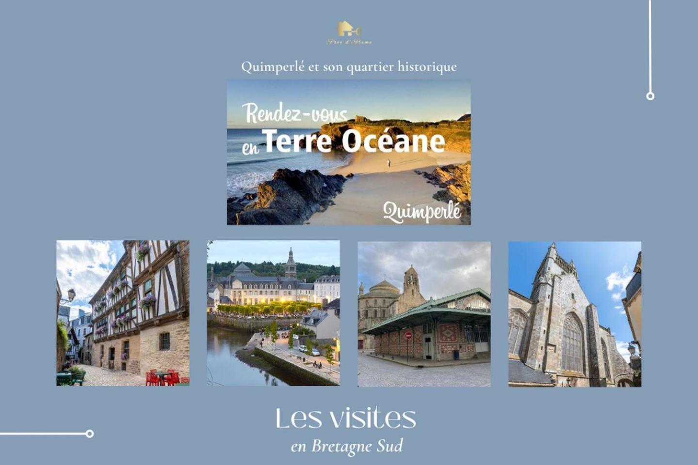 Le Belaven, Neuf, Cosy, Terrasse, Jardin, Kerfany Plage, 1 A 6 Pers Moëlan-sur-Mer Εξωτερικό φωτογραφία