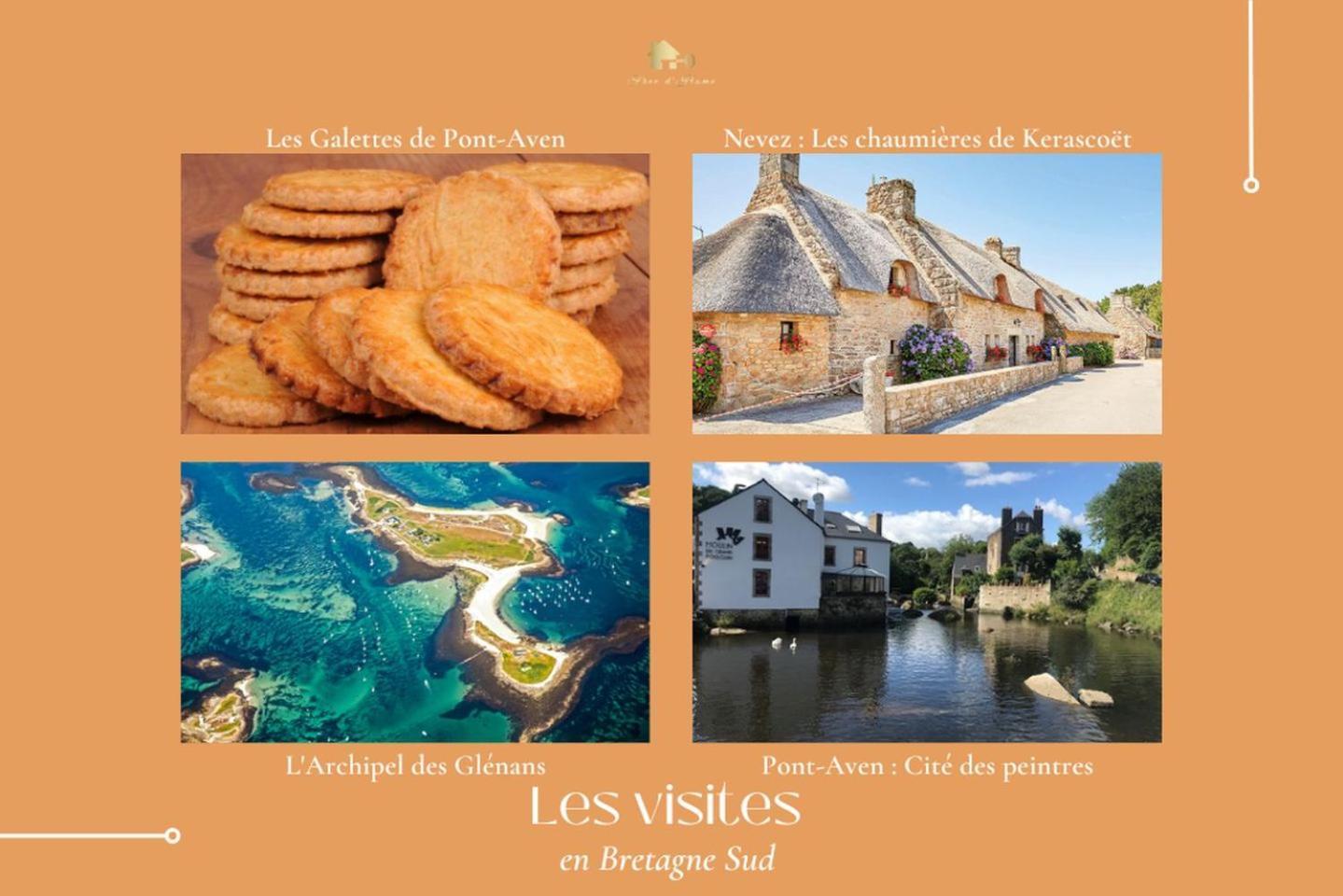 Le Belaven, Neuf, Cosy, Terrasse, Jardin, Kerfany Plage, 1 A 6 Pers Moëlan-sur-Mer Εξωτερικό φωτογραφία