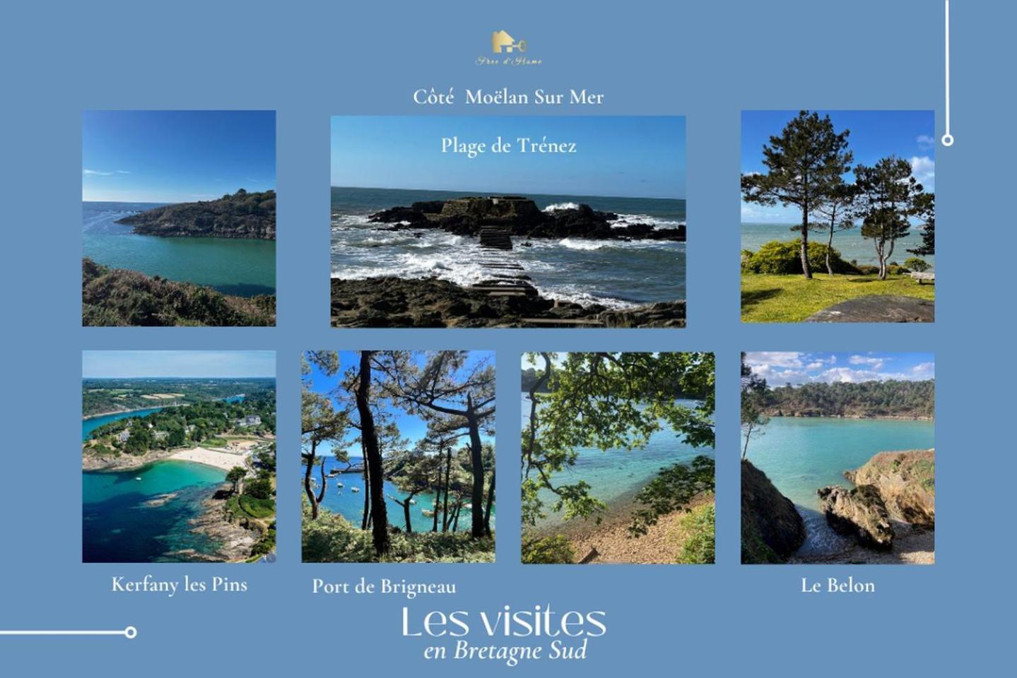 Le Belaven, Neuf, Cosy, Terrasse, Jardin, Kerfany Plage, 1 A 6 Pers Moëlan-sur-Mer Εξωτερικό φωτογραφία